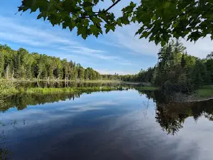 Deer River State Forest