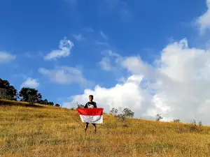 Bulu Sorongan