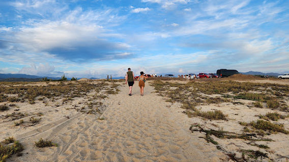 Turtle Release Vive Mar