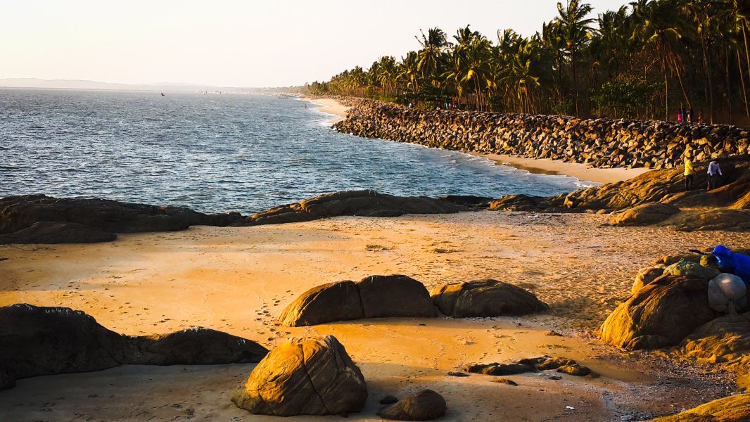 New Delhi to Kozhikode Flights