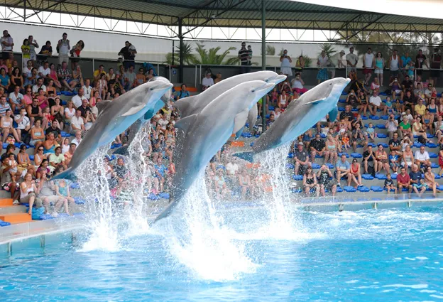 2_Zoomarine Algarve, Portugal