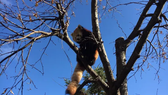 Chausuyama Zoo