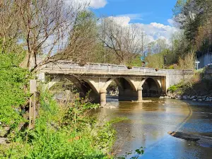 Lake Lure Flowering Bridge
