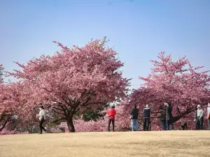 Isesaki City Future Park
