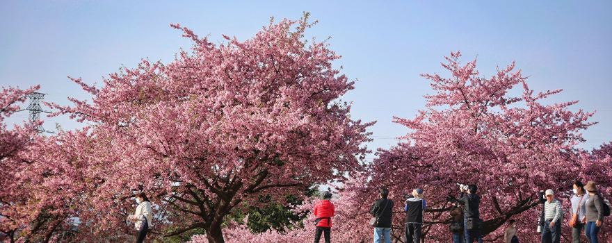 Isesaki City Future Park