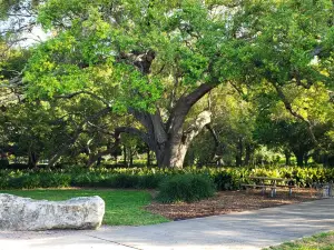 Largo Central Park