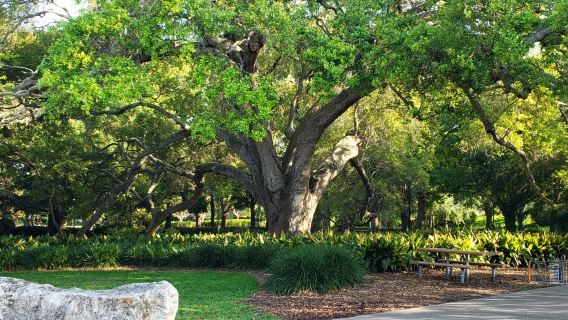 Largo Central Park