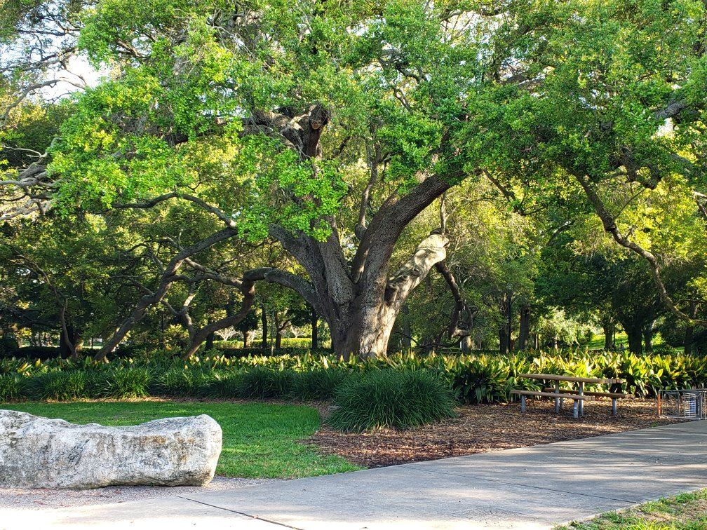 Largo Central Park