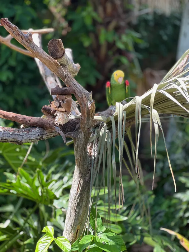3_St. Augustine Alligator Farm Zoological Park