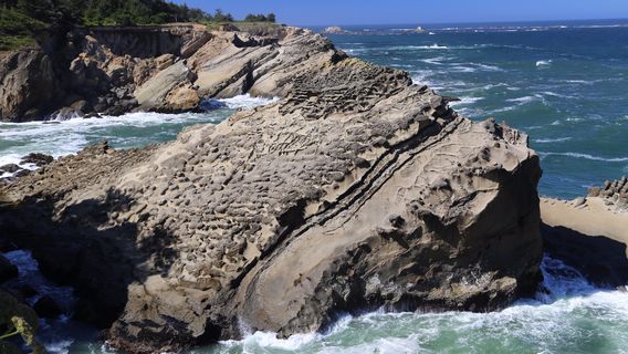 Shore Acres State Park