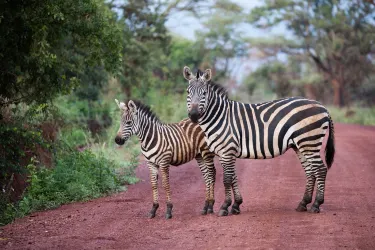 Nyarugenge