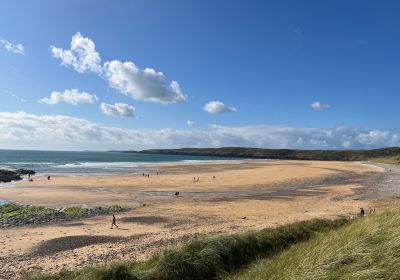 Freshwater West