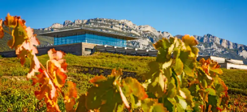 Hotels in Rioja Alavesa