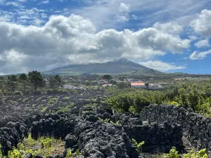 Espaco Talassa