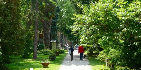 博洛尼亞大學植物園