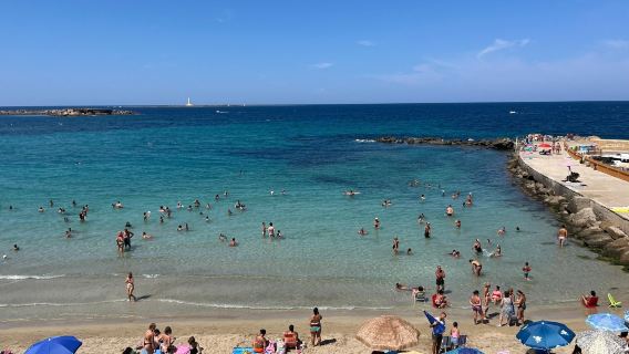 Beach of Purity
