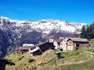 Parc naturel du Gran Bosco di Salbertrand
