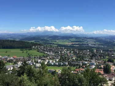 Wil's Tower （Wiler Turm）