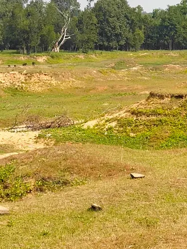 Kaundinya Wildlife Sanctuary