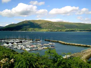 Carlingford Marina