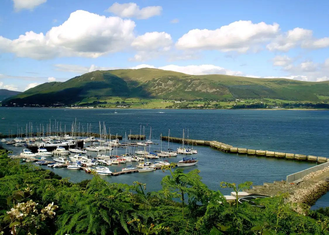 Hotels near Carlingford Marina