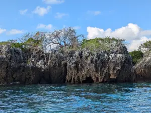 Mafia Island Diving