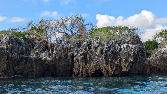Mafia Island Diving
