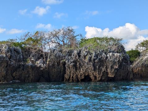 Mafia Island Diving