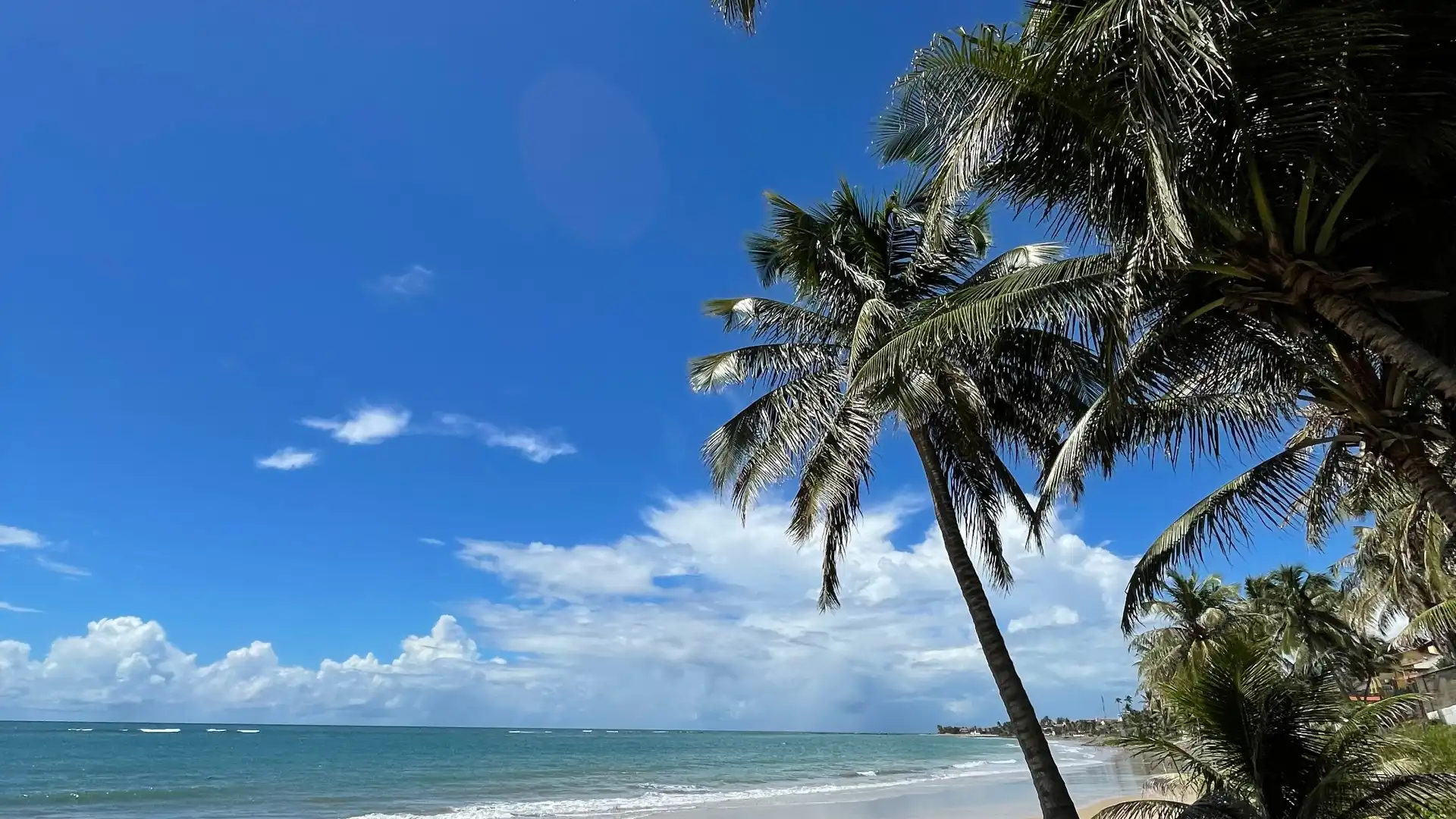 鄰近Buzios beach的酒店
