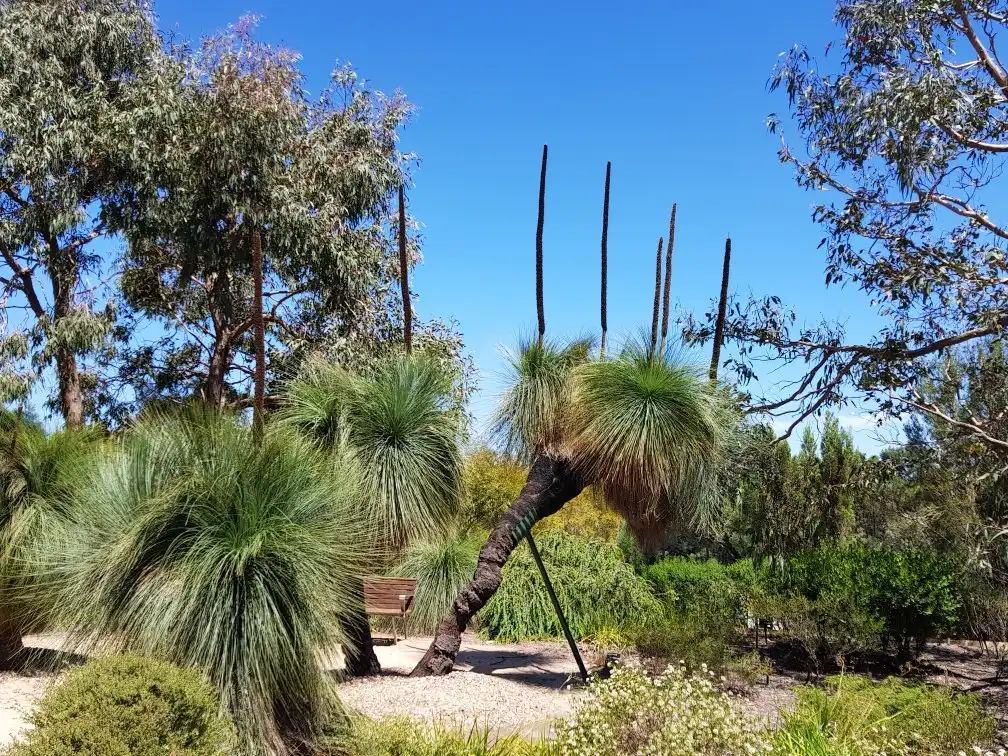 카와라 오스트레일리안 플랜트 가든 주변 호텔