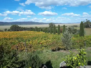 레리다 에스타테