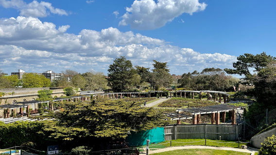 The Rose Gardens