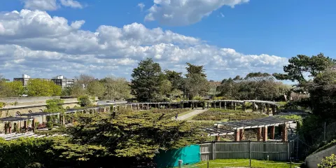 Southsea Rose Garden