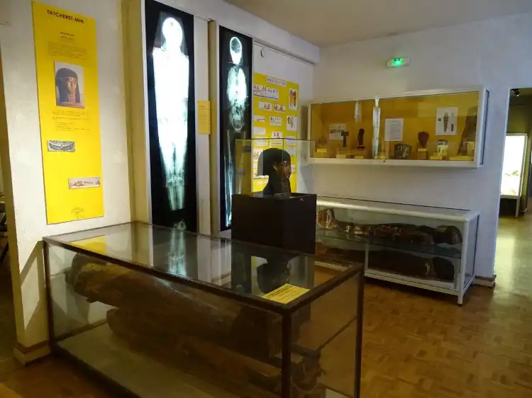 Hotels near Museum of Natural History and Ethnography