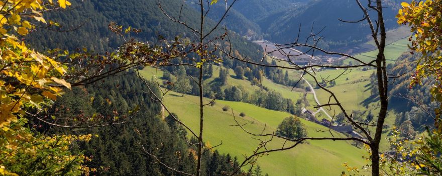 Gemeinde Puchberg am Schneeberg