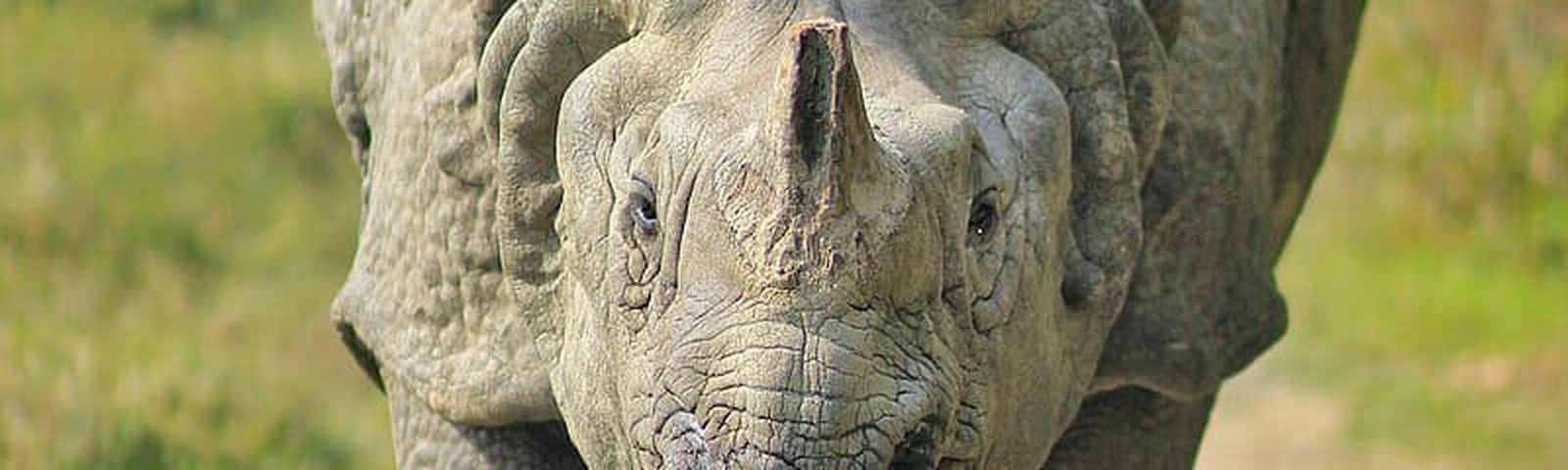 SaurahaEinzigartige Erlebnisse