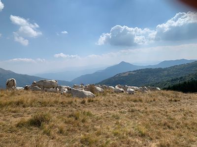 Seggiovia di Pian del Poggio