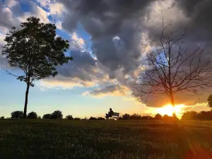Bittersweet Park