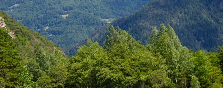 Oueds & Rios Rafting Ubaye