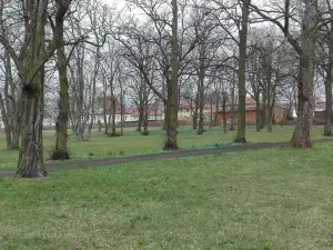 Clara-Zetkin Park