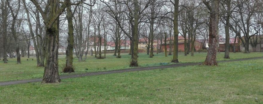 Clara-Zetkin-Park