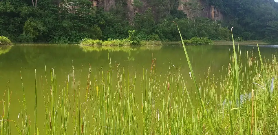 5_Singapore Quarry