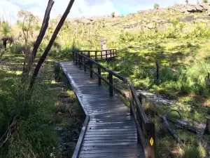 Mount Chudalup