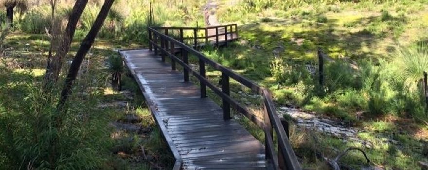 Mount Chudalup