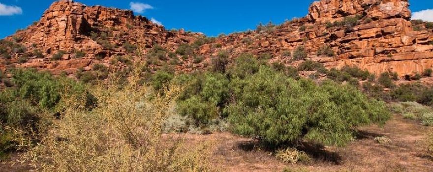Whyalla Conservation Park
