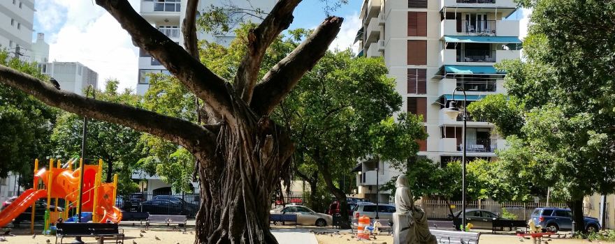 Plaza Antonia Quinones