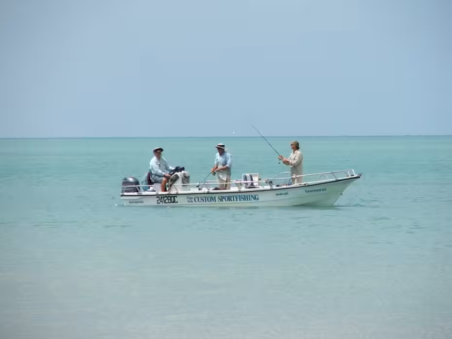 Vol ${{cityDName}} Bamaga