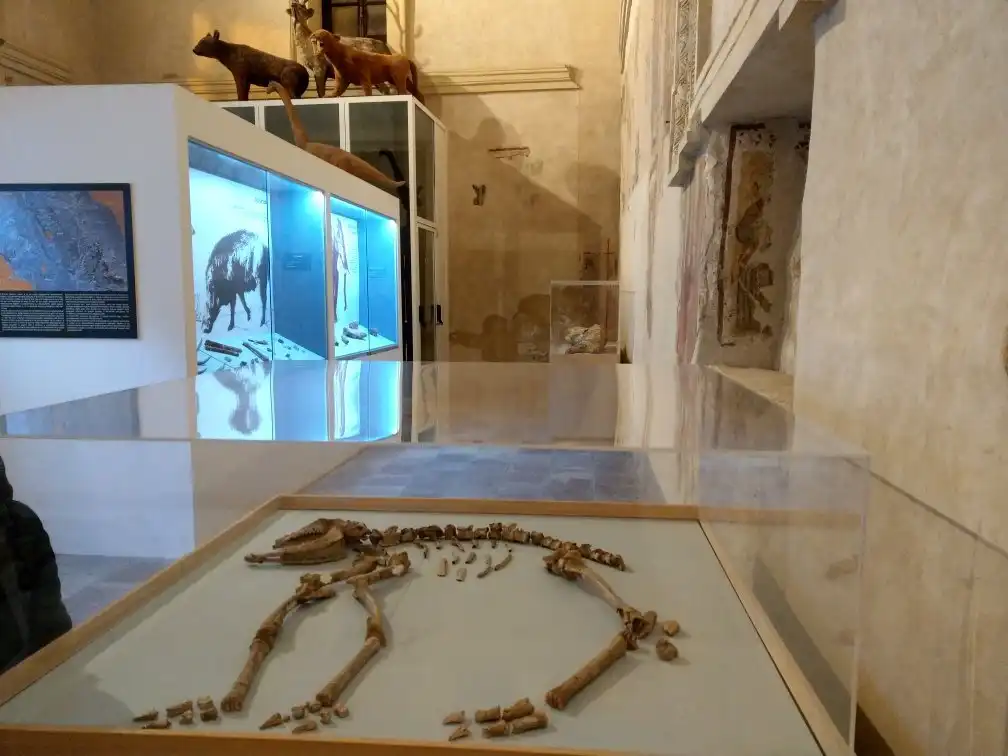 Hotels near Prehistoric Museum