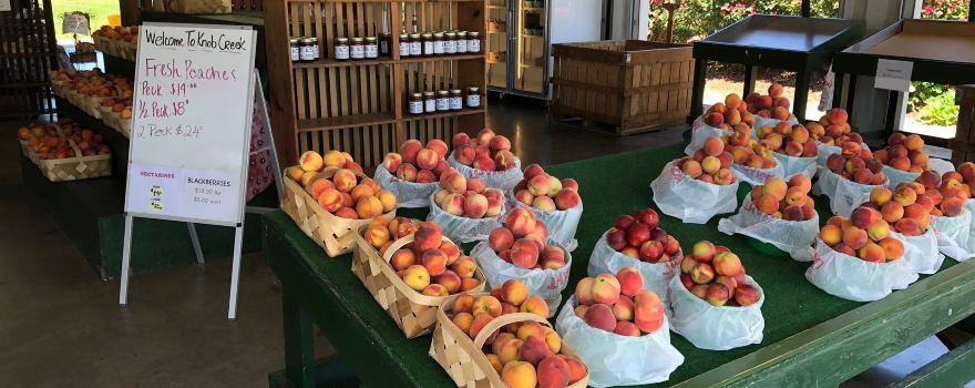 Knob Creek Orchard