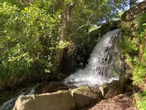 Amaiur Mill